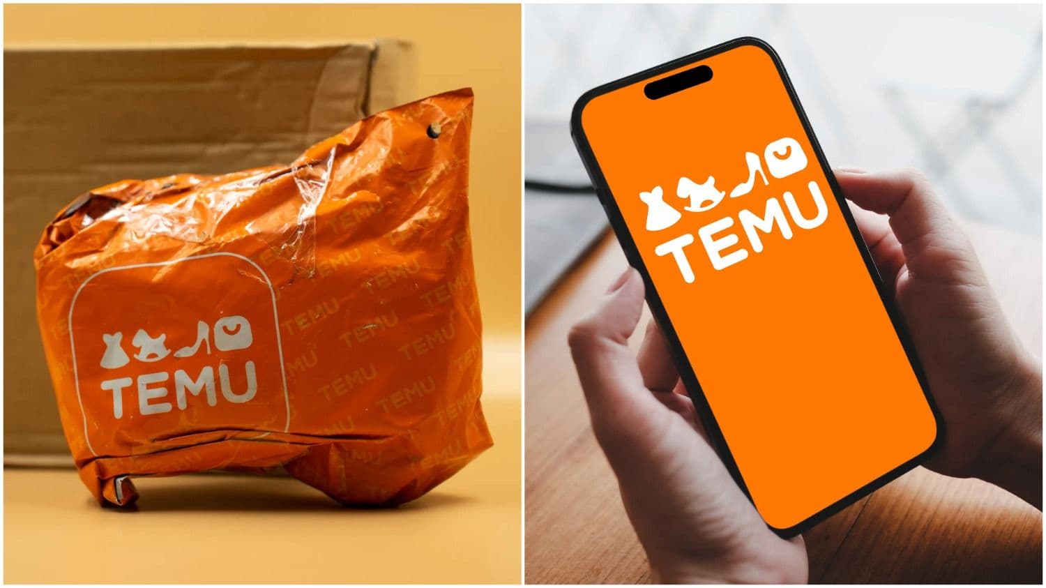 Ventajas de usar la app Temu para gestionar el historial de pedidos